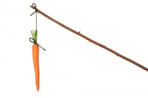 carrots-and-sticks
