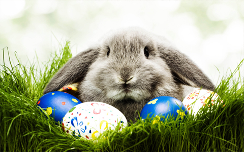 Exercise: What we can learn from the Easter bunny - Ontrack